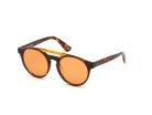 WEB EYEWEAR WE0262-5156J Unisex napszemüveg