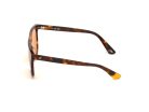 WEB EYEWEAR WE0263-5956J Unisex napszemüveg